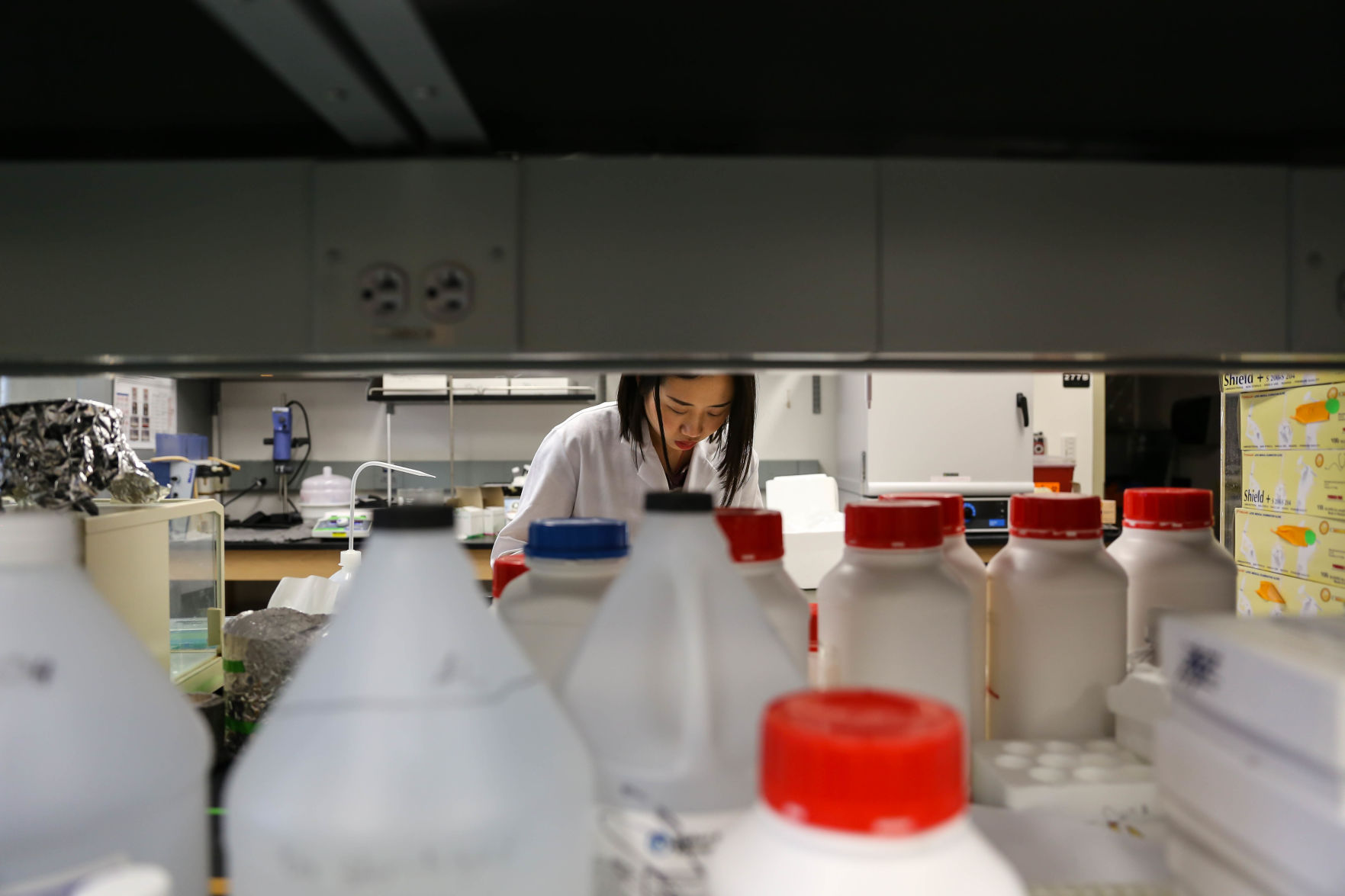 Research and growth